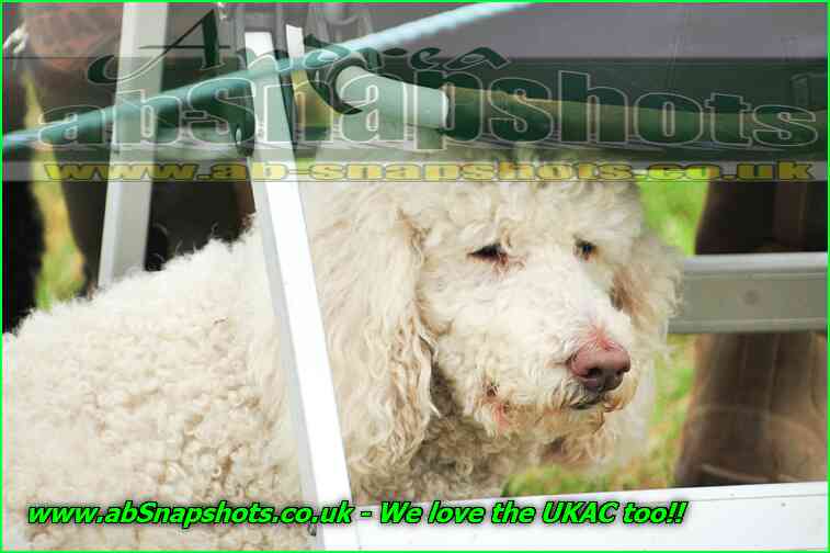 NW1509 A2527